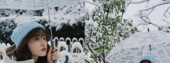 沈月发布一组雪地撑伞氛围感写真