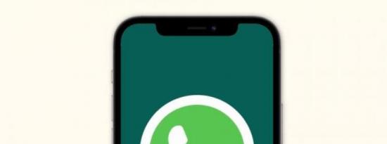 WhatsApp更新带来对多个iOS 15功能的支持