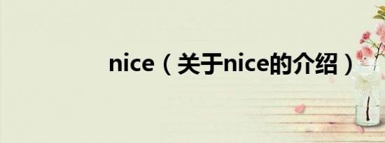 nice（关于nice的介绍）