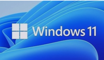 这些是 Windows 11 Build 25217 中的输入更改