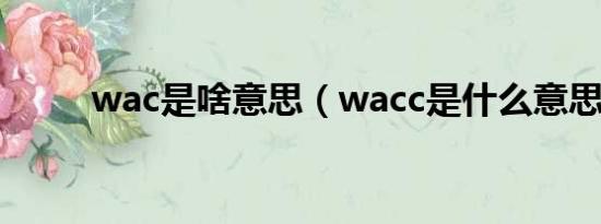 wac是啥意思（wacc是什么意思）