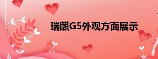 瑞麒G5外观方面展示