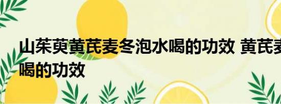 山茱萸黄芪麦冬泡水喝的功效 黄芪麦冬泡水喝的功效