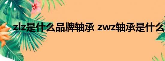 zlz是什么品牌轴承 zwz轴承是什么品牌
