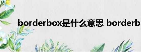 borderbox是什么意思 borderbox