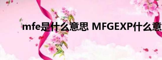 mfe是什么意思 MFGEXP什么意思