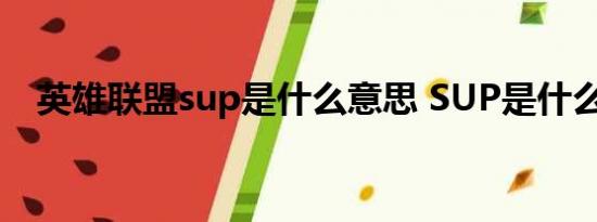 英雄联盟sup是什么意思 SUP是什么意思