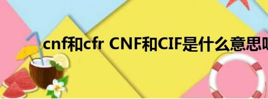 cnf和cfr CNF和CIF是什么意思呀