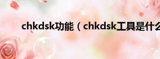 chkdsk功能（chkdsk工具是什么）
