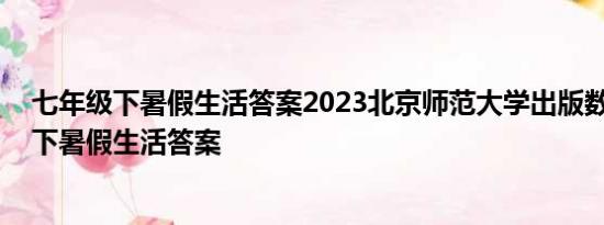 七年级下暑假生活答案2023北京师范大学出版数学 七年级下暑假生活答案