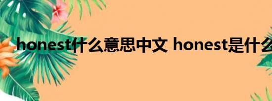 honest什么意思中文 honest是什么意思