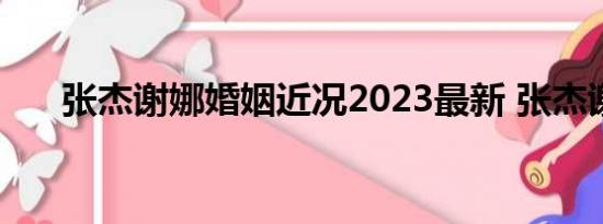 张杰谢娜婚姻近况2023最新 张杰谢娜