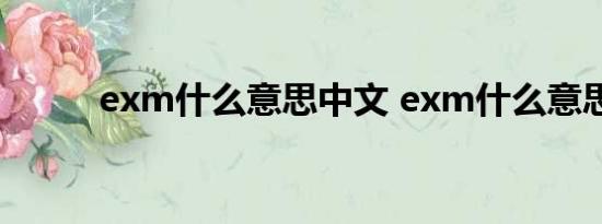 exm什么意思中文 exm什么意思