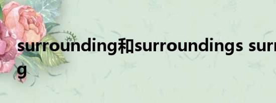 surrounding和surroundings surrounding