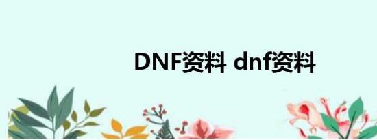 DNF资料 dnf资料