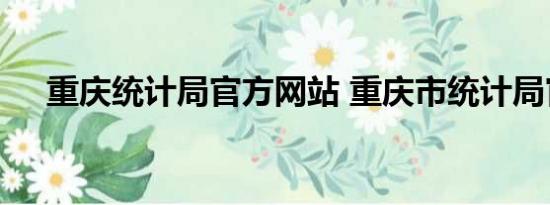 重庆统计局官方网站 重庆市统计局官网