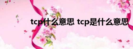 tcp什么意思 tcp是什么意思