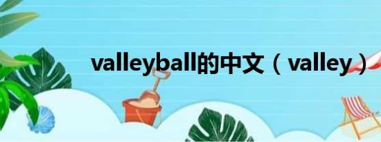 valleyball的中文（valley）