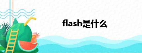 flash是什么